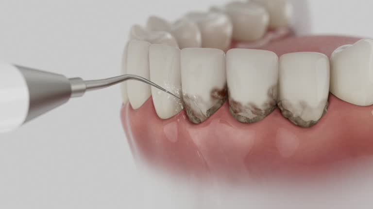 Reliable Dental contractor in Woodsboro, MD by Dentist Open Now